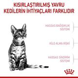 Royal Canin Sterilised Kısırlaştırılmış Yavru Kediler için Kuru Kedi Maması 2kg
