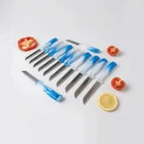 Solingen Meyve Bıçağı 12'li Set