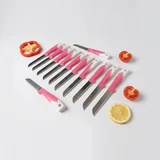 Solingen Meyve Bıçağı 12'li Set