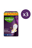 Molped Supernight Gece Süper Dev Fırsat 66 Adet