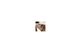 ARMORİX IPHONE 12/12 PRO UYUMLU MAGSAFELİ TELEFON KILIFI