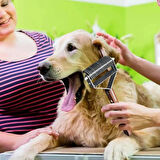 TechTic Evcil Hayvan Tarağı Çift Taraflı Kedi Köpek Kıtık Tüy Topak Açıcı Metal Dişli Ahşap Saplı