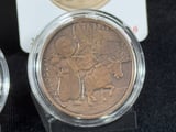 Darphane  KELOĞLAN 2009 HATIRA BRONZ PARA AÇIK - KOYU TAKIM SERTİFİKALI ÇİL