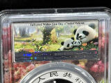 2024 Çin Panda 10 Yuan - 30g (.999) Gümüş Hatıra Para - PCGS MS70