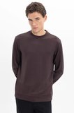 Erkek Standart Fit Normal Kesim Uzun Kollu Ekstra Soft Modal Kumaş Bisiklet Yaka Kahverengi Sweatshirt