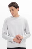 Erkek Standart Fit Normal Kesim Uzun Kollu Ekstra Soft Modal Kumaş Bisiklet Yaka Taş Sweatshirt