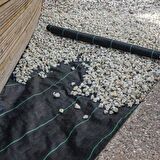 2x10metre SULZER KUMAŞ SERA TABAN ÖRTÜSÜ JÜT BLUEBERRY PEYZAJ UYGULAMA ÖRTÜSÜ MULCH NAYLONU ÇİLEK MALÇ