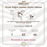 Cattie Havalı Dokuma Kedi Göğüs & Gezdirme Takımı Royal Mavi 1*25-35 cm
