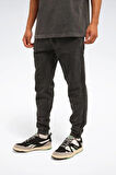 Reebok Anthe Jogger Erkek Pantolon