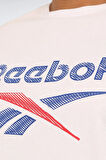 Reebok New Id Reg Tee Erkek Tişört