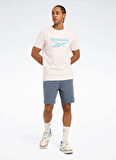 LC 8013 NEW ID REG TEE Beyaz Yuvarlak Yaka Regular Fit Baskılı Erkek T-Shirt