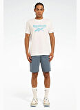 Reebok LC 8014 NEW ID REG TEE Beyaz Yuvarlak Yaka Regular Fit Baskılı Erkek T-Shirt