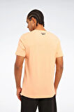 Reebok Ovlo Tee Erkek Tişört