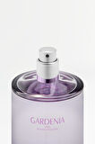 ZARA GARDENIA EDP 180 ML (6,08 FL. OZ).  (İNDİRİMSEHRİ