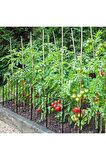 DEKORATİF BAHÇE ÇİTİ 10'LU SET 330CM MODEL - 1 SİYAH HOBİ BAHÇESİ, ÇİÇEK, SEBZE, MİNİ BAHÇE