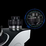 SANQT1D OPTICAL MİKROSKOP TD-5S