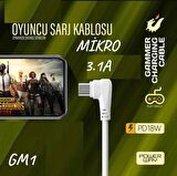 KABLO PWAY GM1 3.1A OYUNCU KABLO MİKRO