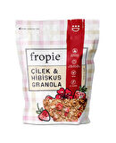 Fropie Premium 3'lü Granola Seti