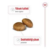 Royal Canin Büyük Irklar için Yetişkin Kuru Köpek Maması 15 Kg
