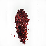 Glitter Sim Epoksi Süsleme Aksesuarı 5 GR  Bordo