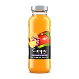 Cappy Karışık Meyve Nektarı Cam Şişe 250 Ml (3'li Paket)
