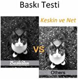 Baskistan SAMSUNG SL-M2070fw MLT-D111 Muadil Toner