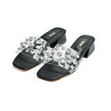 Taşlı Şeffaf Bantlı Kadın Kısa Topuklu Terlik 