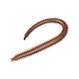 Silikon Kurt Sahte Balık Yemi - Kokulu - Silkworm - Kahve - Power Bait (9952)