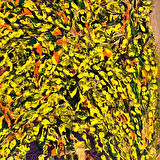 Uretti - Özge 6766 - Yağlı Boya Mimoza Gold Tablo 35 x50cm
