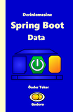 Derinlemesine Spring Boot Data