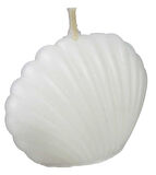 MUM İSTİRİDYE BEYAZ 5,5X4 CM 1 ADET