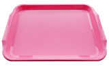 TEPSİ KRİSTAL MİKA PEMBE 1 ADET