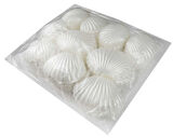 KUTU İSTİRİDYE İNCİ PLASTİK SEDEF 1 ADET