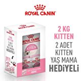 Royal Canin Kitten Hediyeli Kutu Yavru Kedi Maması 2 KG