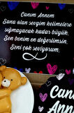 Şirin Kutuda Anneye Özel Anneler Günü Hediyesi Anneye Doğum Günü Hediyesi 1bears1mom9