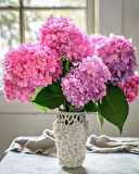 2 Adet Ortanca (Hydrangea) Fidanı - Göz Alıcı Çiçekler, 1-2 Yaş Arası Tüplü