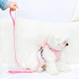 Evcil Hayvan Peluş Ayıcıklı Göğüs Gezdirme Tasması Set