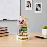 Sıralı Biblolu Ters Fanus - Öğretmenler Günü Hediyesi