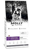 Molly Medium Adult 2 kg Kuzu Etli & Yaban Mersinli Orta ve Büyük Irk Yetişkin Köpek Maması
