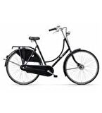 28 BATAVUS DUTCHMAN BAYAN SEHIR 490H NEX-7 V BC100515 SIYAH