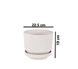 Omnipazar SO-S283 Dekoratif Tabaklı Lüks Çizgi Desenli Saksı 6 Litre