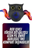 Baykuş Tasarımlı Mini Bluetooth Speaker Yüksek Ses Kaliteli Taşınabilir