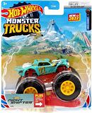 Hot Wheels 1:64 Monster Trucks Arabalar HCN55