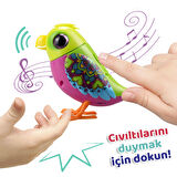 Digibirds Tekli Paket Seri 1 - Model 3-SIL/88600-03