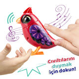 Digibirds Tekli Paket Seri 1 - Model 4-SIL/88600-04
