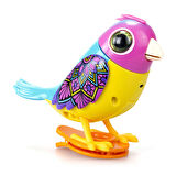Digibirds Tekli Paket Seri 2 - Model 1-SIL/88620-01