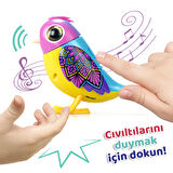 Digibirds Tekli Paket Seri 2 - Model 1-SIL/88620-01