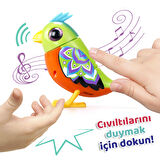 Digibirds Tekli Paket Seri 2 - Model 2-SIL/88620-02