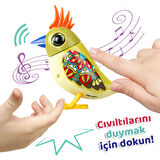 Digibirds Tekli Paket Seri 2 - Model 4-SIL/88620-04