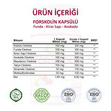 Forskolin Kapsül (COLEUS CAPSULE)